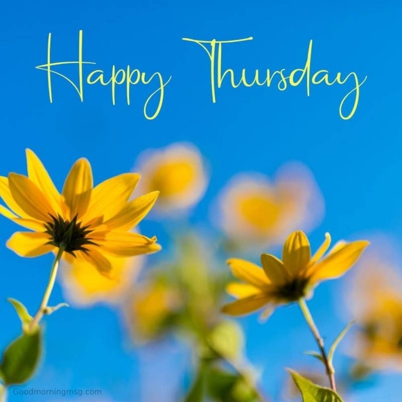 °◇SHOW LISTING◇° - Picture 2 of 16